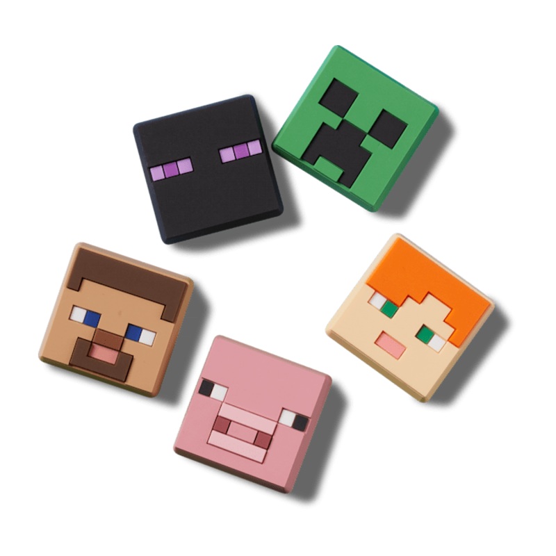 Minecraft 5 Pack