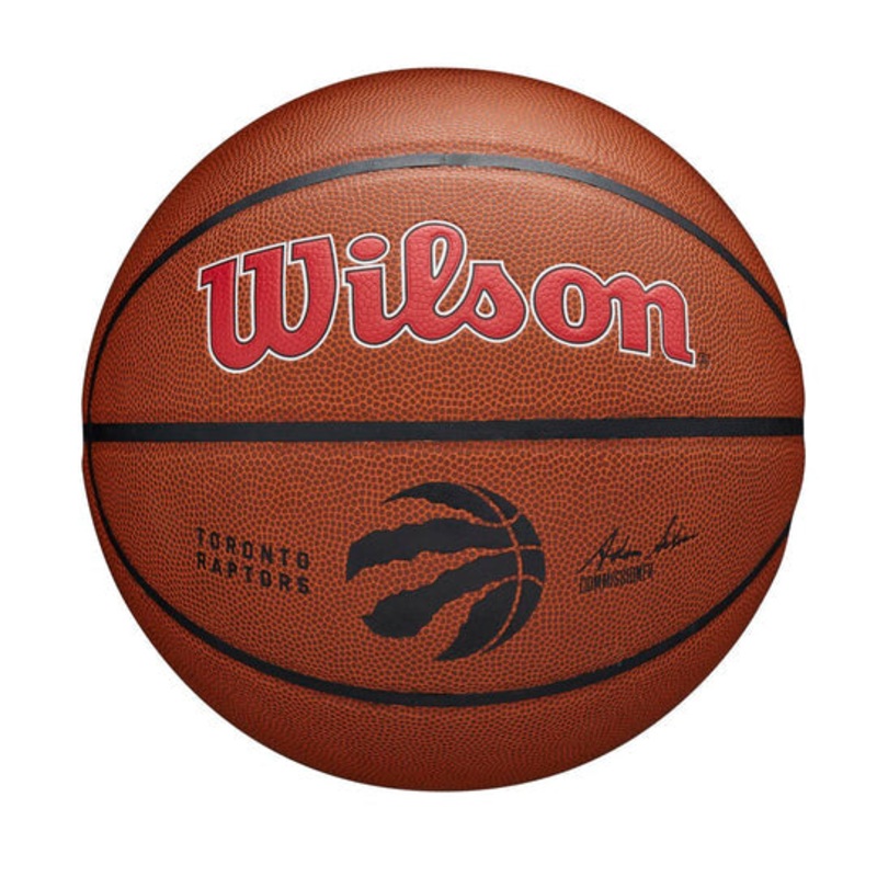 NBA Team Comp Basketball|7|RAPTORS