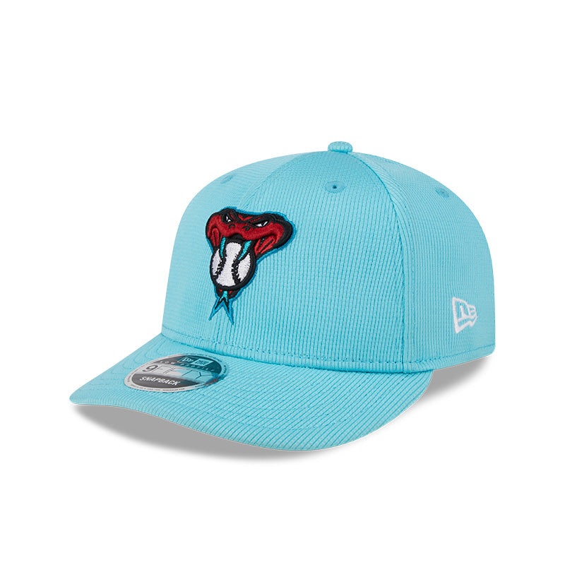 Arizona Diamondbacks 2024 Spring Taining Low Profile 9Fifty Snapback Hat