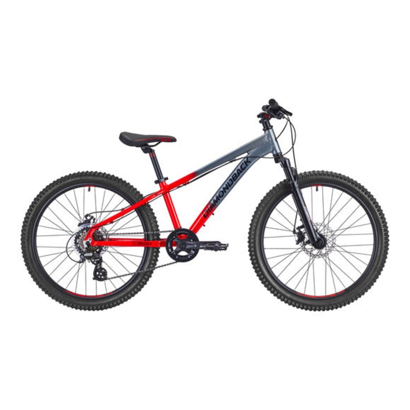 Junior Flowdown Mountain Bike – 24