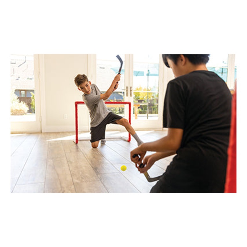 Pro Mini Hockey