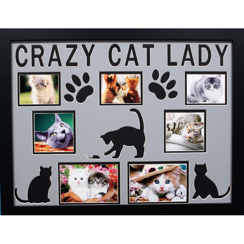 Crazy Cat Lady
