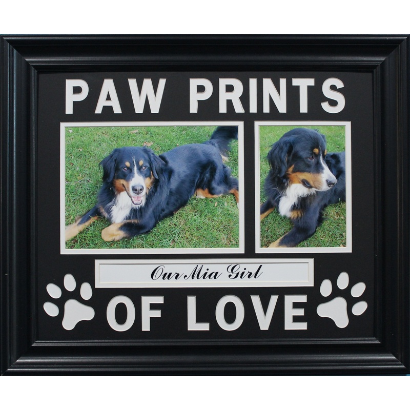 Paw Prints Of Love