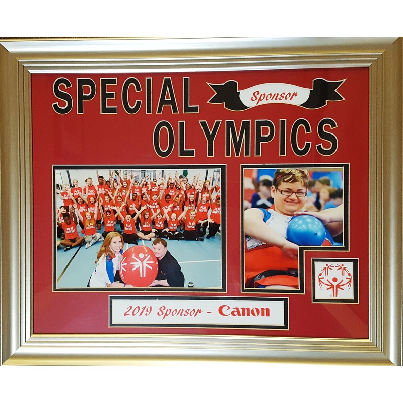 Customized Award for Sponsor