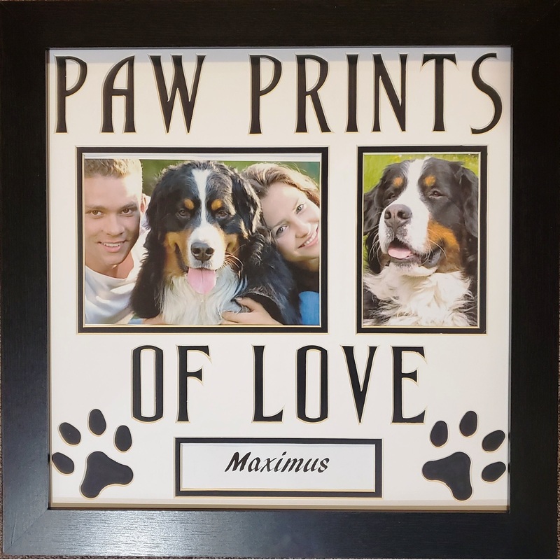 Paw Prints of Love 16 x 16