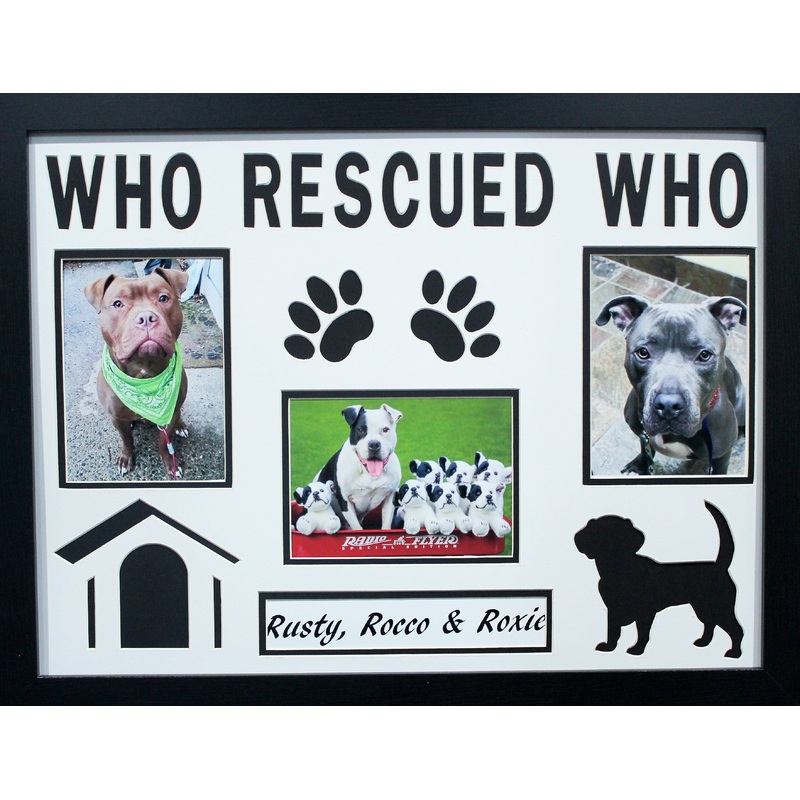 Who Rescued Who