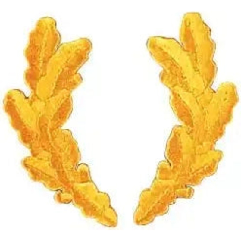 Scrambled Eggs Military Patch