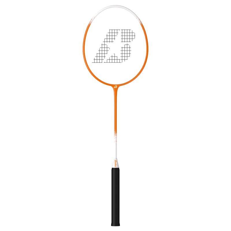 Champions Volleyball & Badminton Racket