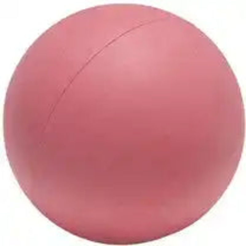 Champion Sports PL Sponge Lacrosse Balls – Doz