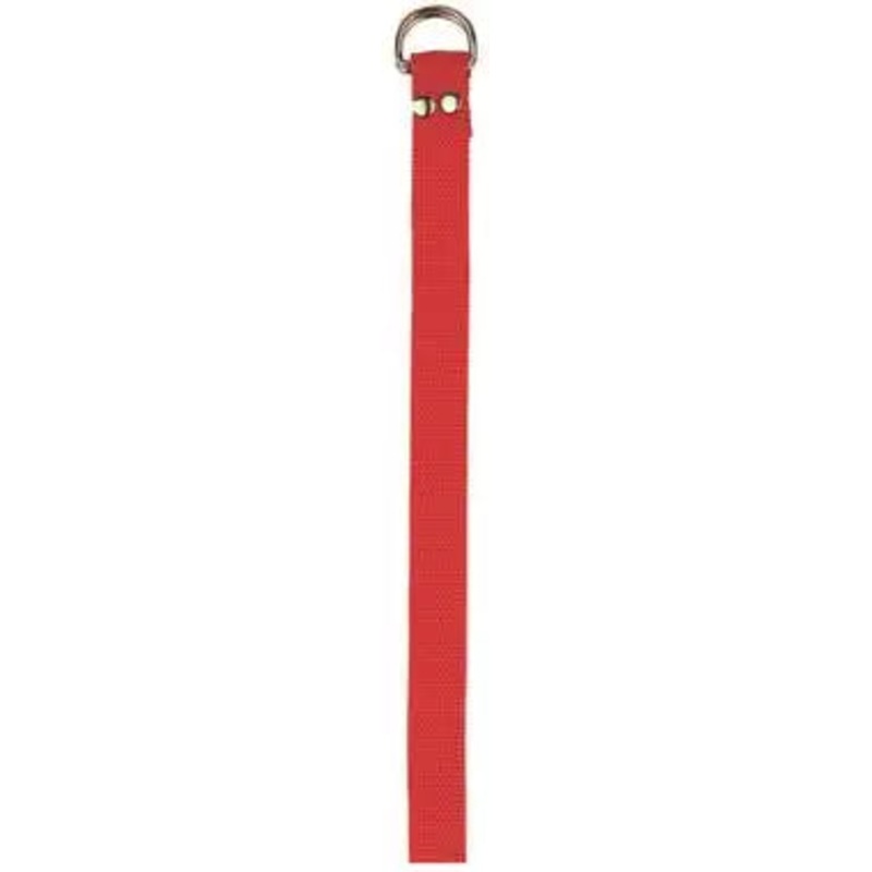 Champion Sports FFB3 Football Belt – Ea