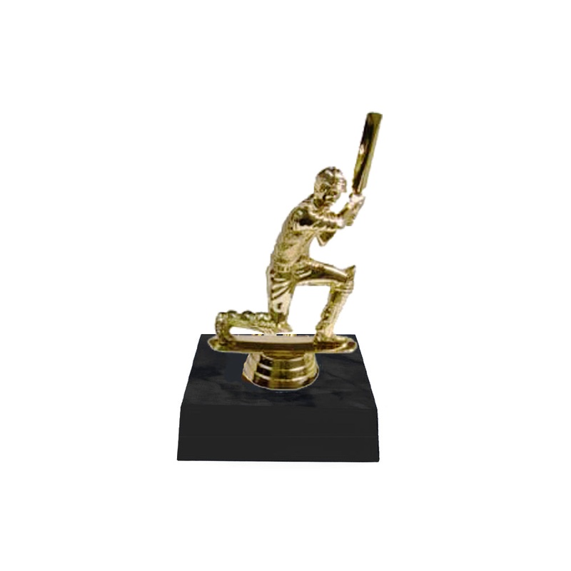 CRICKET POD – FREE TITLE PLAQUE