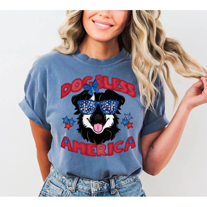 DOG BLESS AMERICA BORDER COLLIE