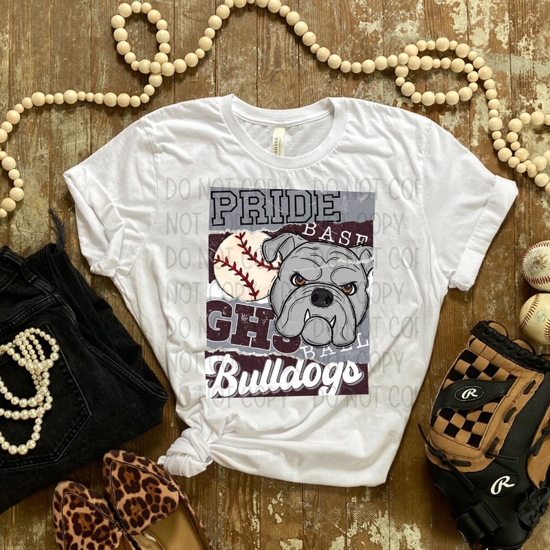 Custom Pride Baseball With Character Design